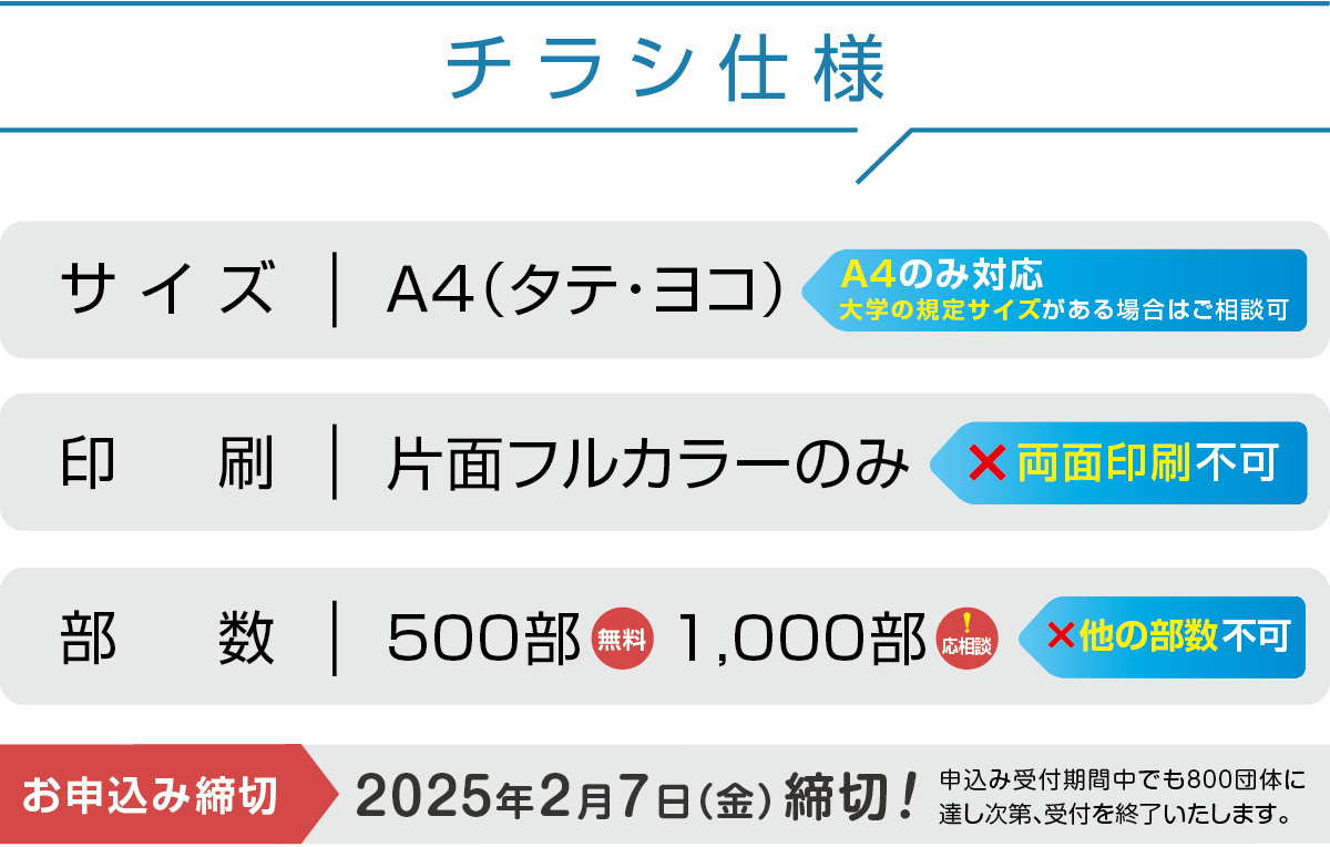 チラシ仕様